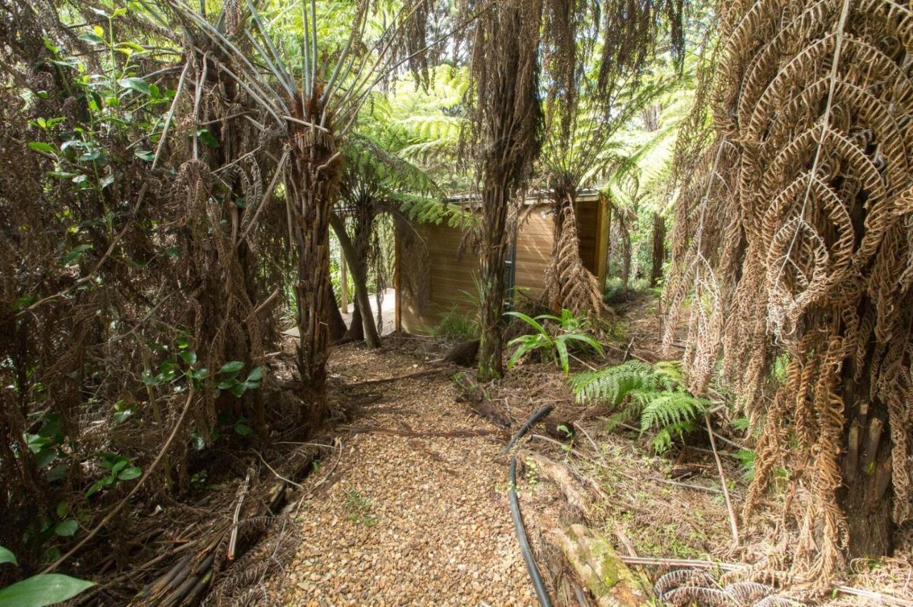 Karaka Sanctuary With Spa Pool By Waiheke Unlimited Oneroa Værelse billede